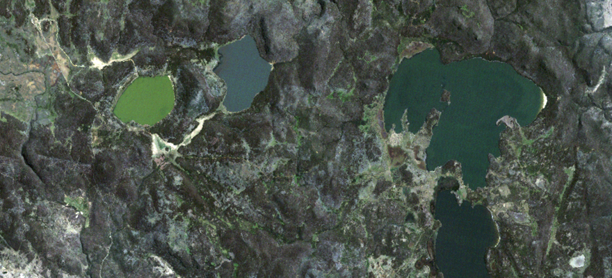 世界湿地日。从天空看到的泻湖群岛的卫星图像，明亮的绿色斑点。
